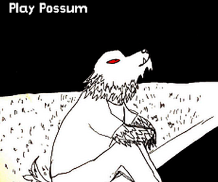 Play possum